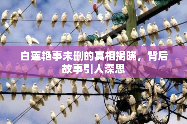 白莲艳事未删的真相揭晓，背后故事引人深思