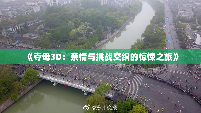 《夺母3D：亲情与挑战交织的惊悚之旅》
