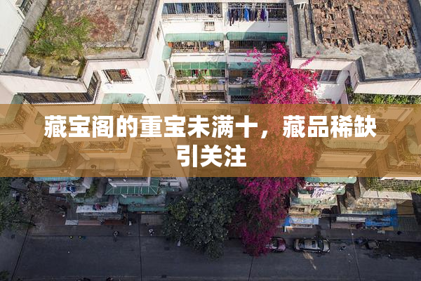 藏宝阁的重宝未满十，藏品稀缺引关注