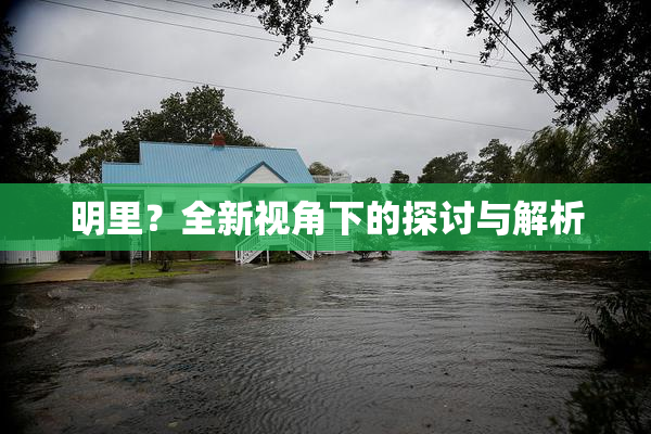 明里？全新视角下的探讨与解析