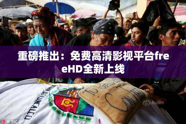 重磅推出：免费高清影视平台freeHD全新上线