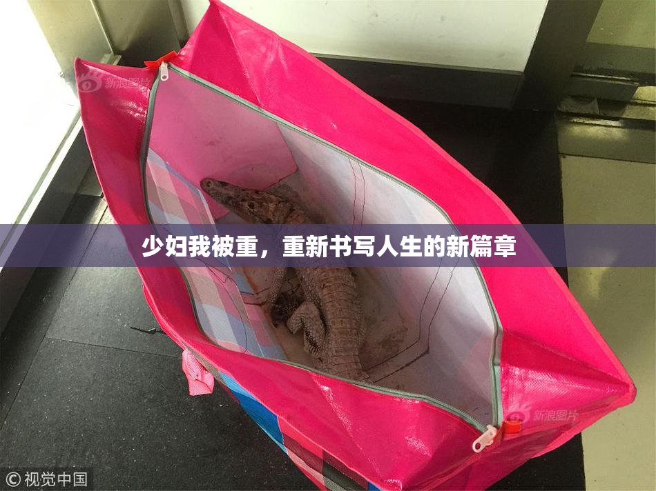 少妇我被重，重新书写人生的新篇章