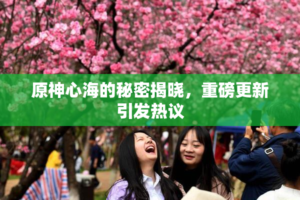 原神心海的秘密揭晓，重磅更新引发热议