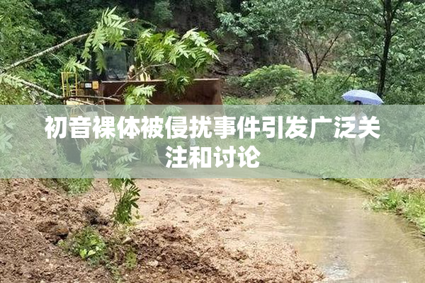 初音裸体被侵扰事件引发广泛关注和讨论