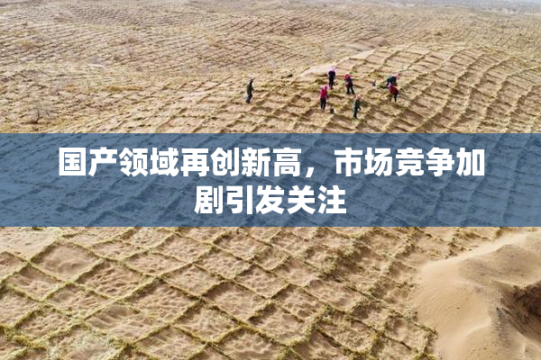 国产领域再创新高，市场竞争加剧引发关注