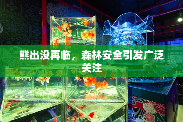 熊出没再临，森林安全引发广泛关注