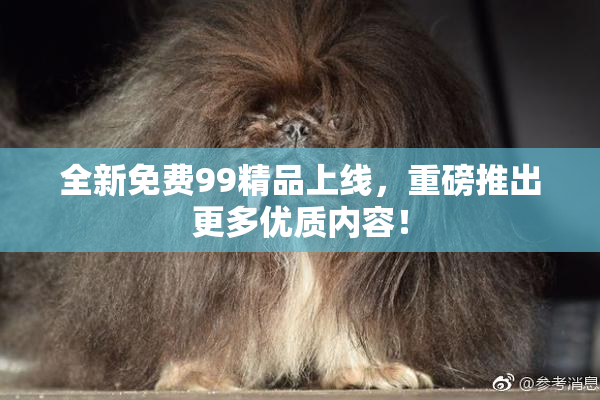 全新免费99精品上线，重磅推出更多优质内容！