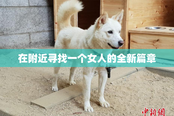 在附近寻找一个女人的全新篇章