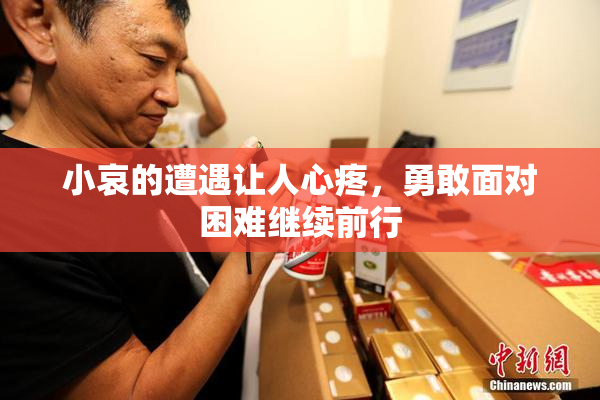 小哀的遭遇让人心疼，勇敢面对困难继续前行