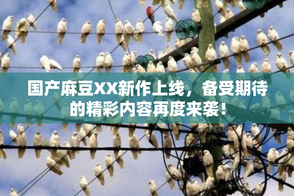 国产麻豆XX新作上线，备受期待的精彩内容再度来袭！