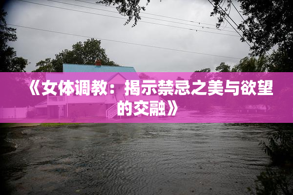 《女体调教：揭示禁忌之美与欲望的交融》