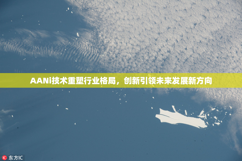 AANi技术重塑行业格局，创新引领未来发展新方向