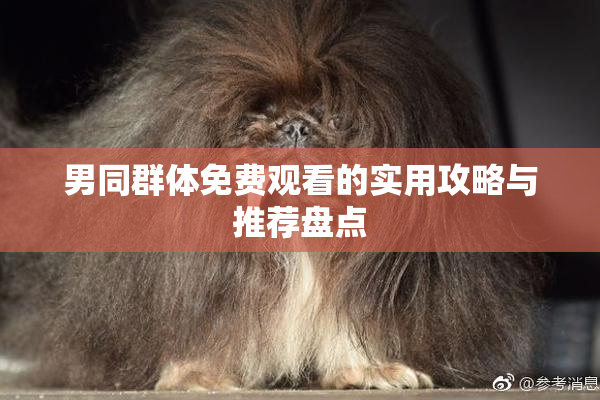 男同群体免费观看的实用攻略与推荐盘点