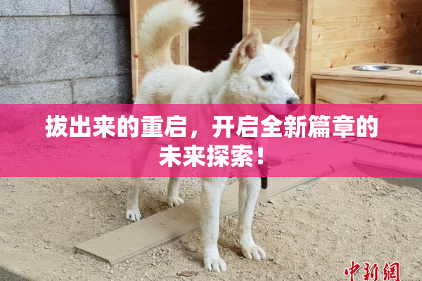 拔出来的重启，开启全新篇章的未来探索！