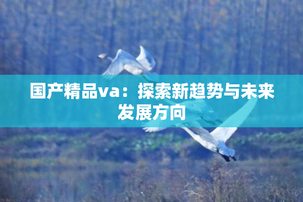 国产精品va：探索新趋势与未来发展方向
