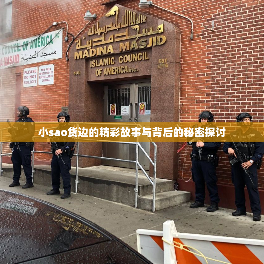 小sao货边的精彩故事与背后的秘密探讨