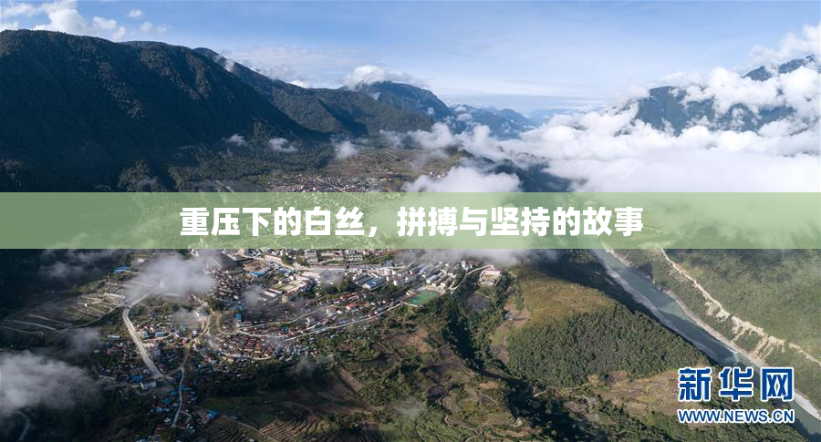 重压下的白丝，拼搏与坚持的故事