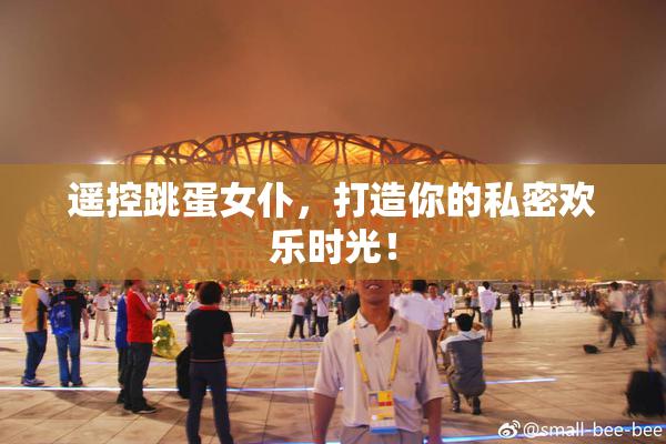 遥控跳蛋女仆，打造你的私密欢乐时光！