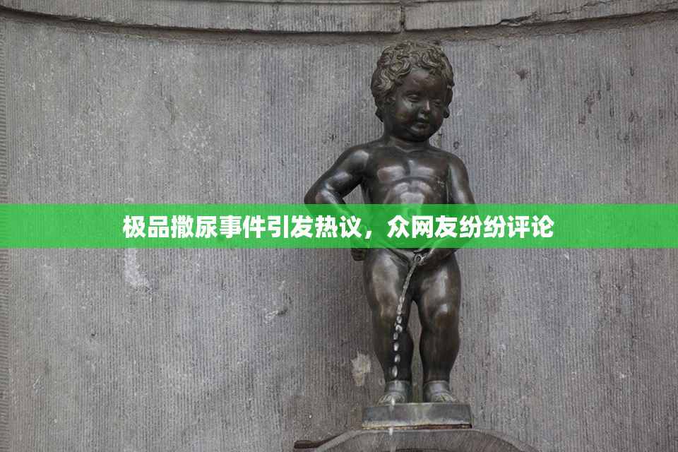 极品撒尿事件引发热议，众网友纷纷评论