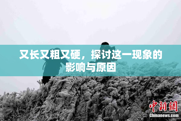 又长又粗又硬，探讨这一现象的影响与原因