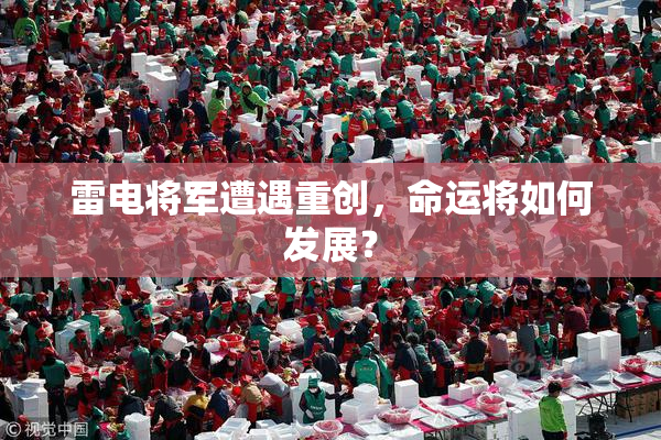 雷电将军遭遇重创，命运将如何发展？
