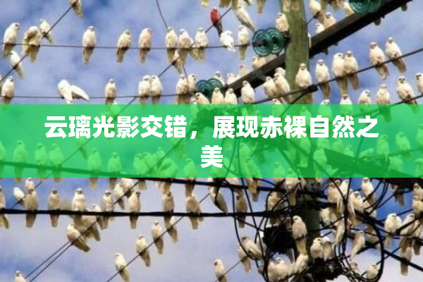 云璃光影交错，展现赤裸自然之美