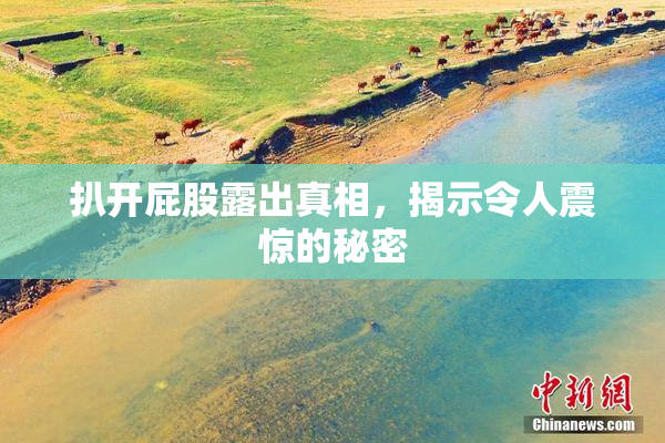 扒开屁股露出真相，揭示令人震惊的秘密