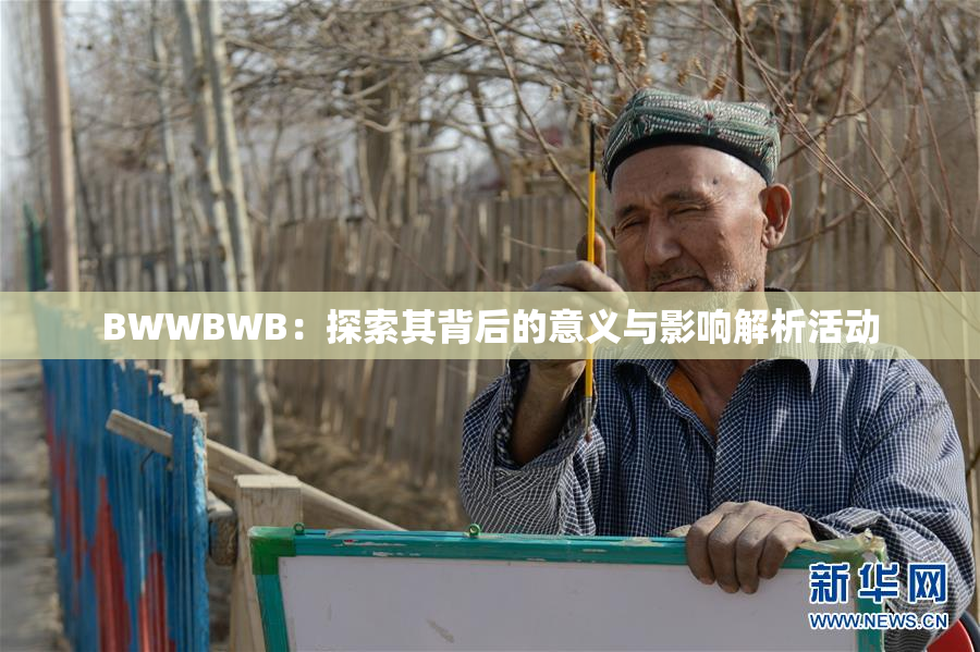 BWWBWB：探索其背后的意义与影响解析活动