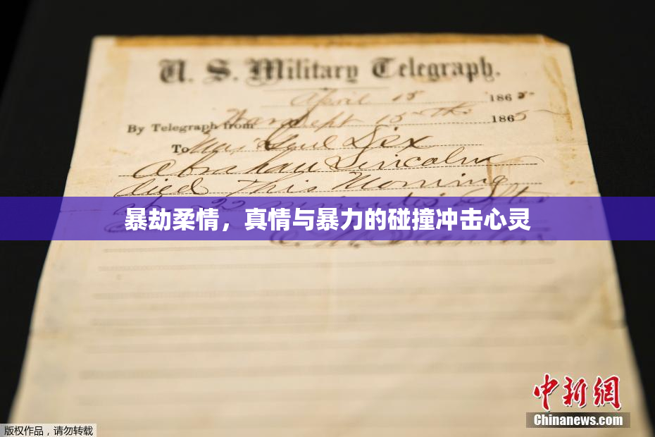 暴劫柔情，真情与暴力的碰撞冲击心灵