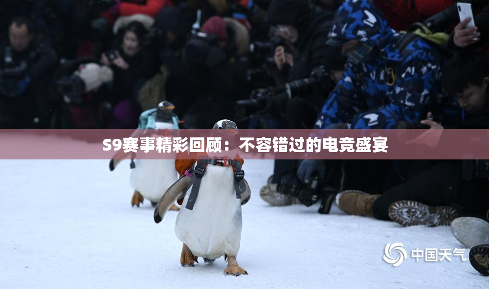 S9赛事精彩回顾：不容错过的电竞盛宴
