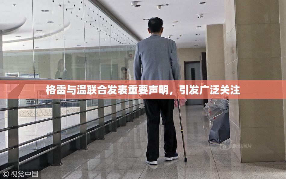 格雷与温联合发表重要声明，引发广泛关注