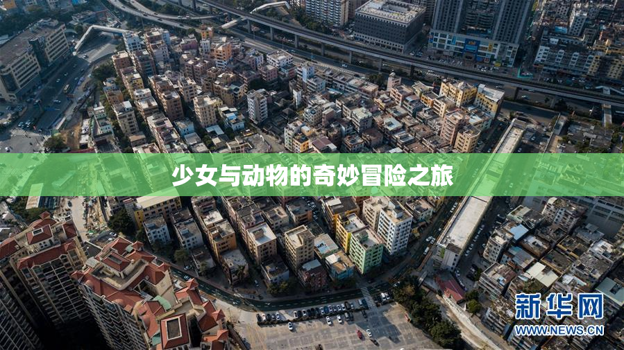 少女与动物的奇妙冒险之旅