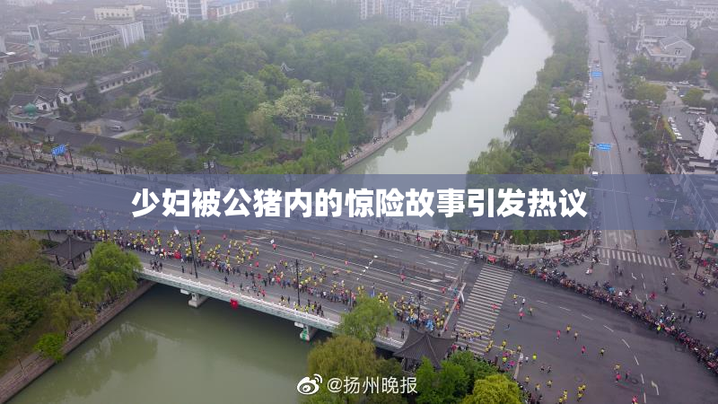 少妇被公猪内的惊险故事引发热议