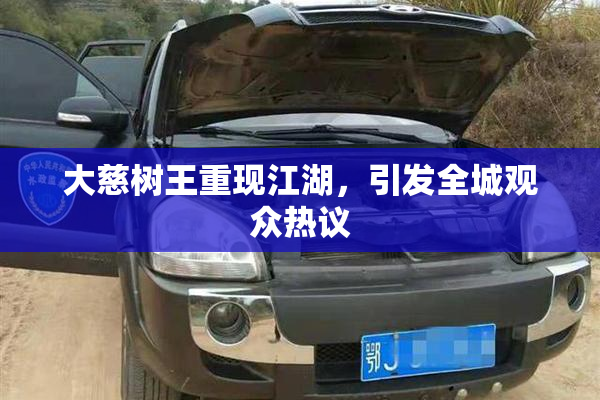 大慈树王重现江湖，引发全城观众热议