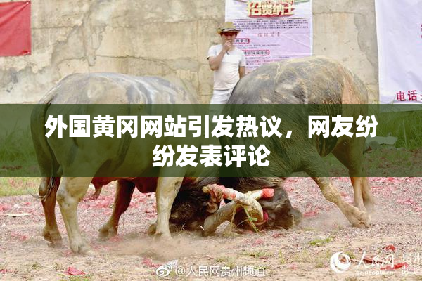 外国黄冈网站引发热议，网友纷纷发表评论