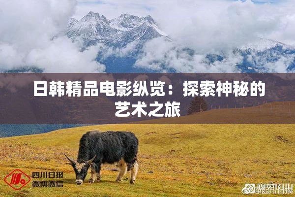 日韩精品电影纵览：探索神秘的艺术之旅