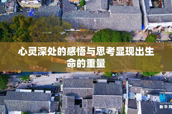 心灵深处的感悟与思考显现出生命的重量