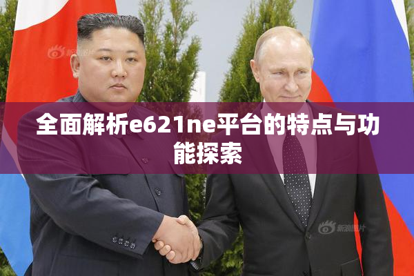 全面解析e621ne平台的特点与功能探索