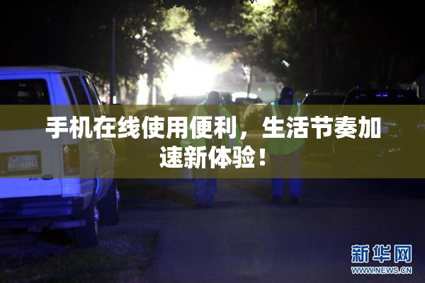 手机在线使用便利，生活节奏加速新体验！