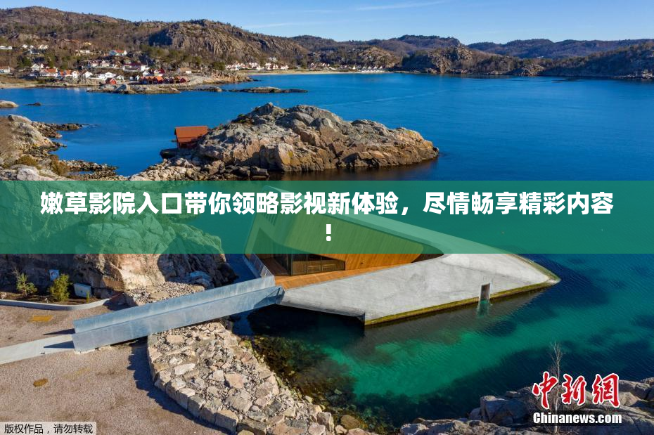 嫩草影院入口带你领略影视新体验，尽情畅享精彩内容!