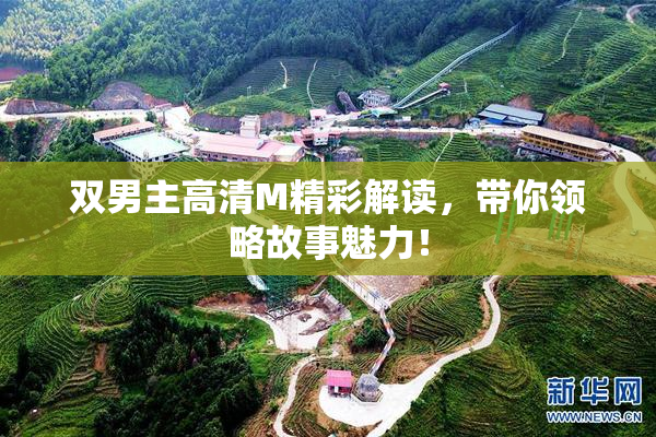 双男主高清M精彩解读，带你领略故事魅力！
