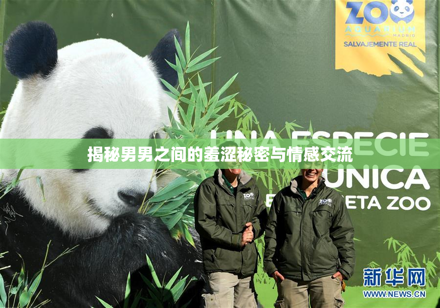 揭秘男男之间的羞涩秘密与情感交流