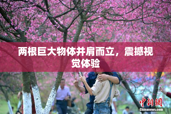 两根巨大物体并肩而立，震撼视觉体验