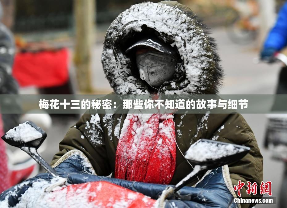 梅花十三的秘密：那些你不知道的故事与细节