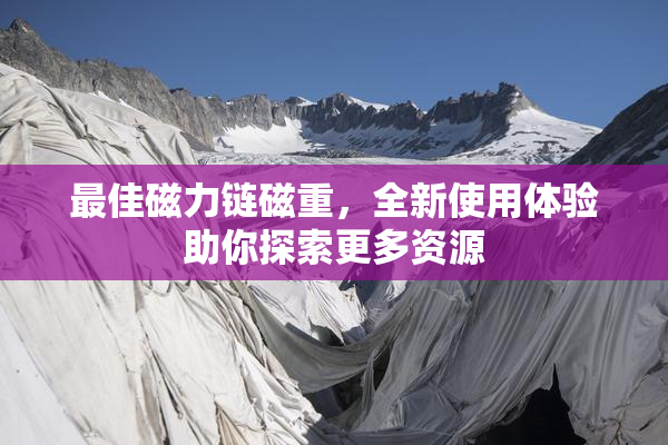 最佳磁力链磁重，全新使用体验助你探索更多资源
