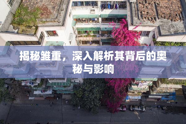 揭秘雏重，深入解析其背后的奥秘与影响