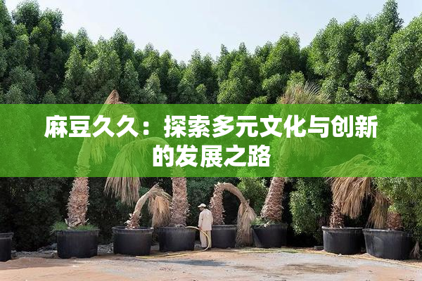 麻豆久久：探索多元文化与创新的发展之路