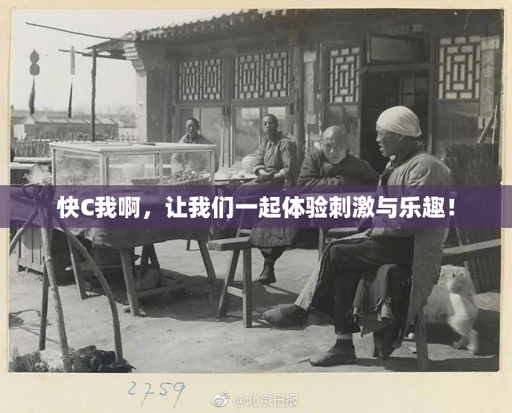 快C我啊，让我们一起体验刺激与乐趣！