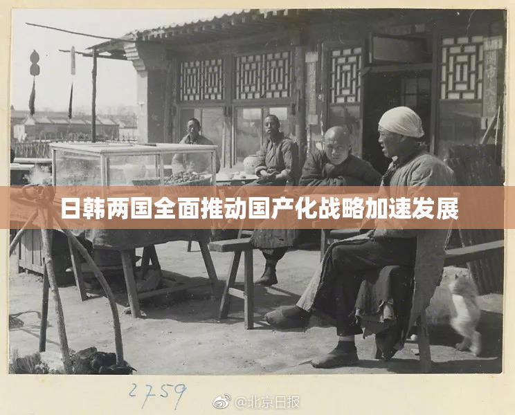 日韩两国全面推动国产化战略加速发展