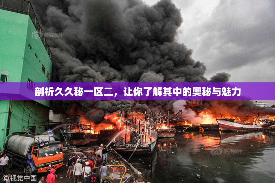 剖析久久秘一区二，让你了解其中的奥秘与魅力